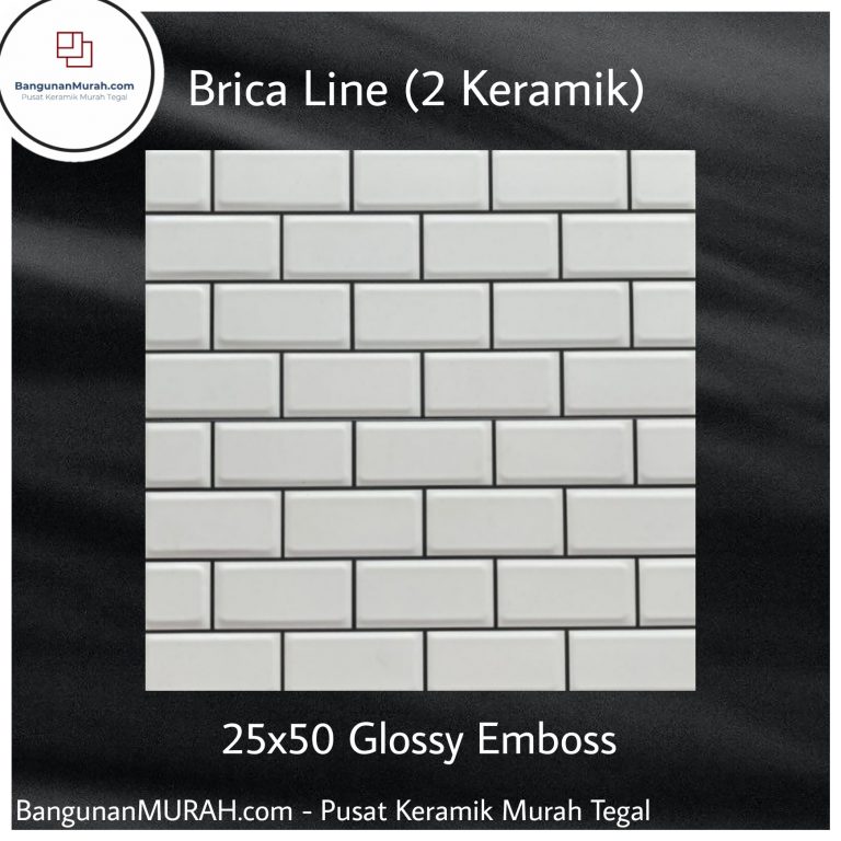 Brica Line 25x50_1