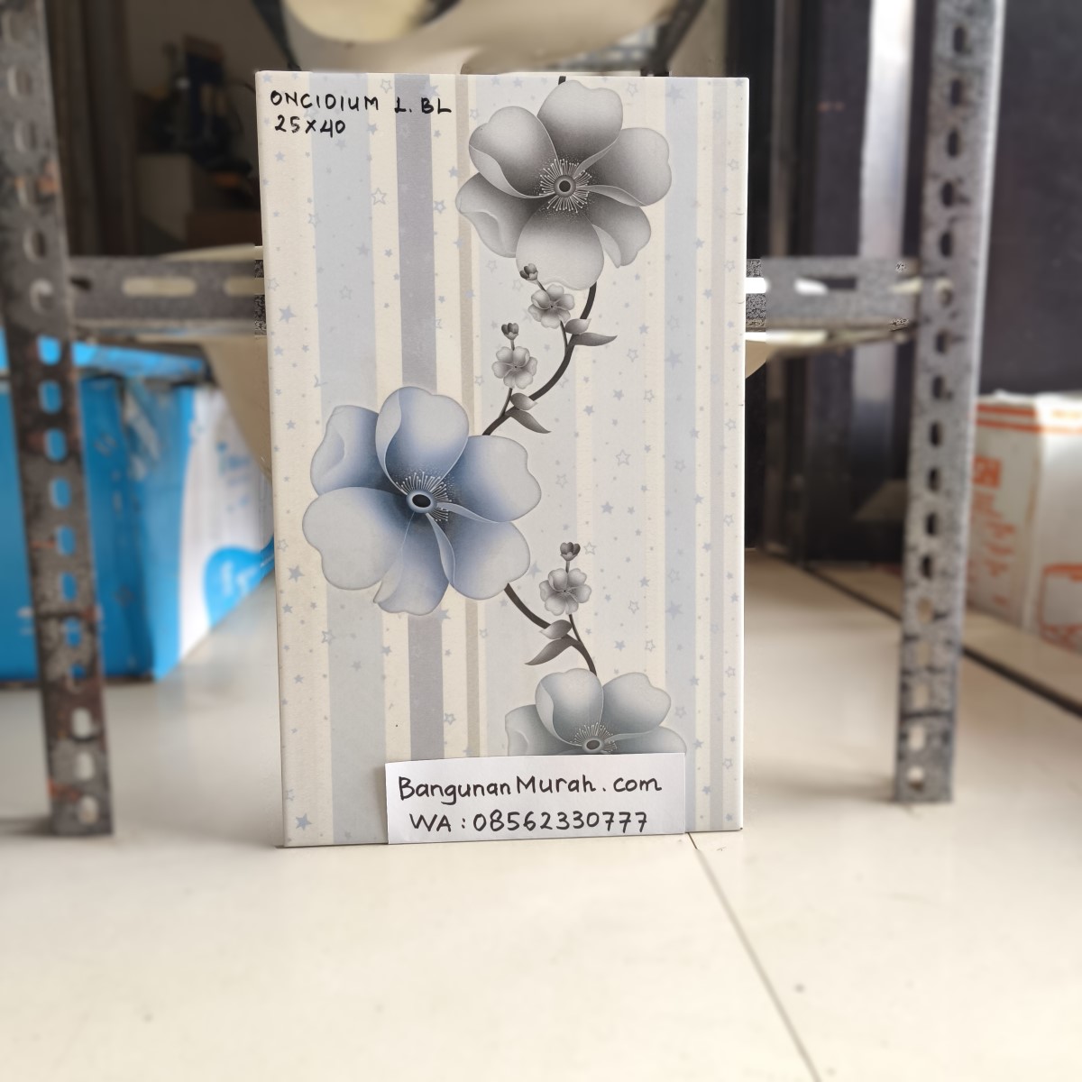 MILAZZO WT ONCIDIUM LIGHT BLUE 25X40