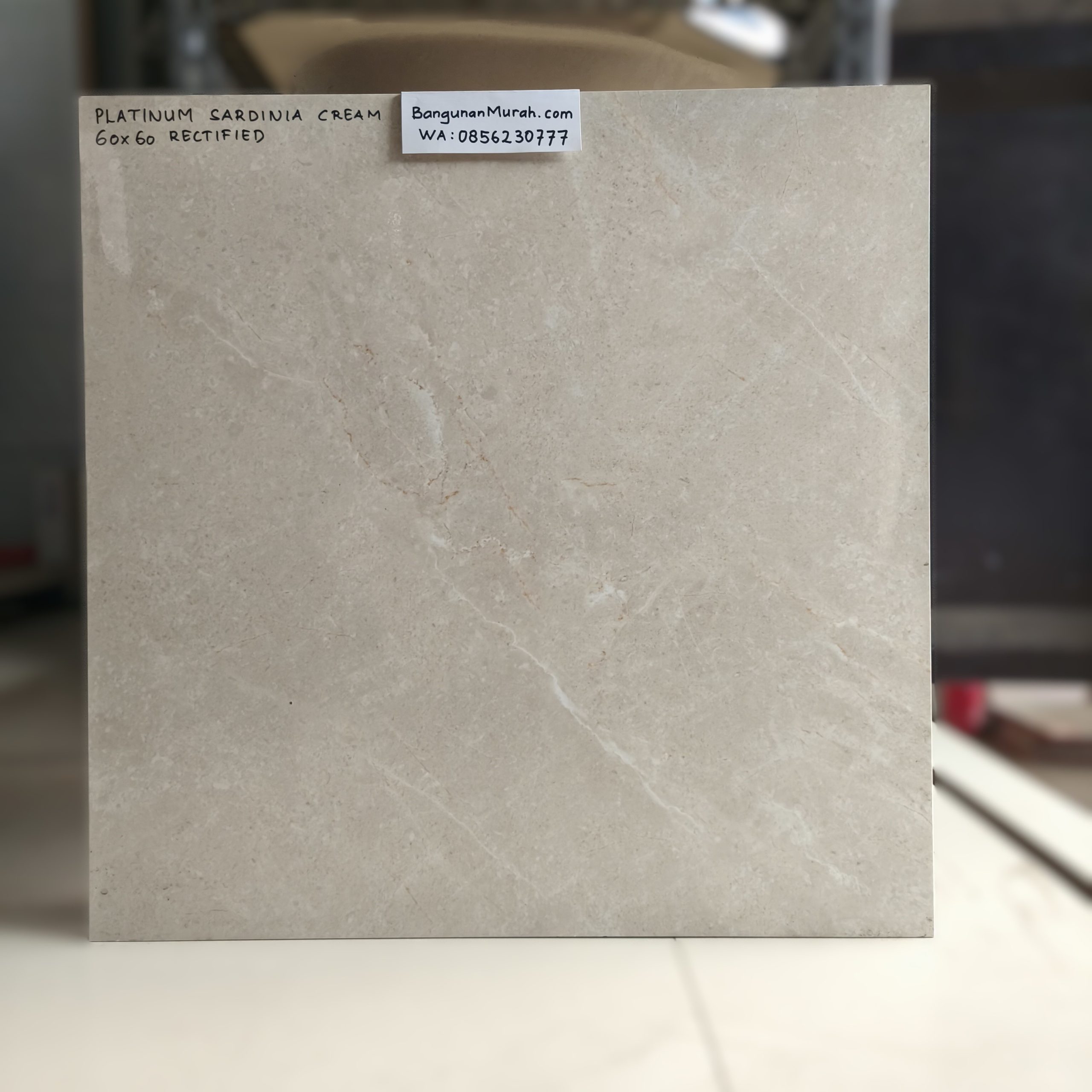 PLATINUM FT SARDINIA CREAM 60X60 REC
