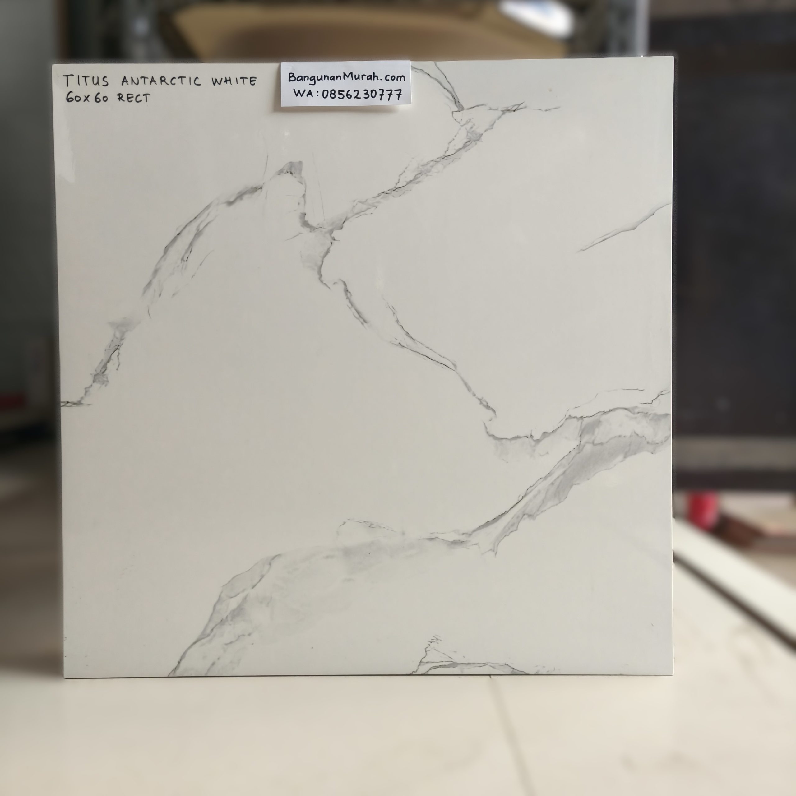 TITUS FT ANTARCTIC WHITE 60X60 REC